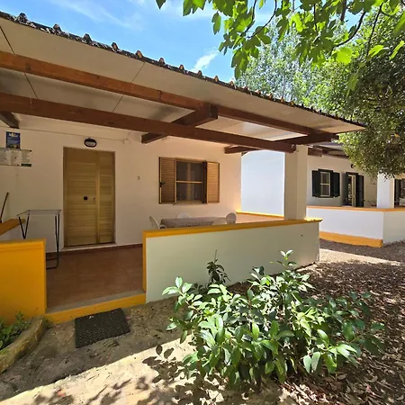 Camping Fico D'india