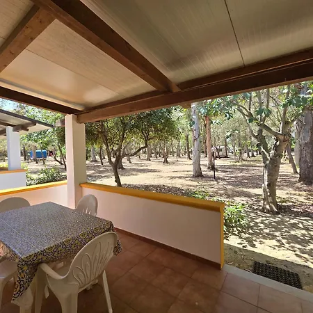Campsite Camping Fico D'india *