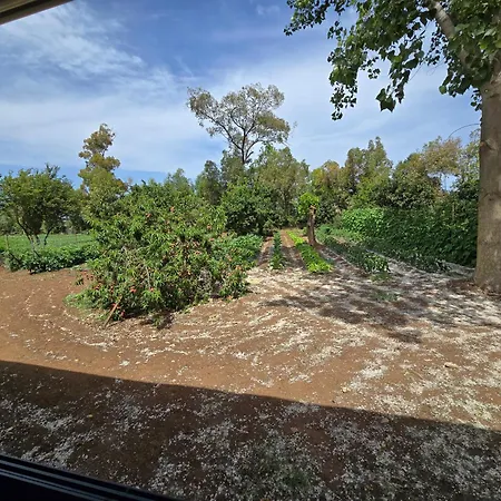 Camping Fico D'india * Ovile la Marina
