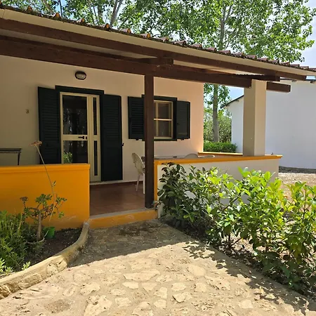 Campsite Camping Fico D'india