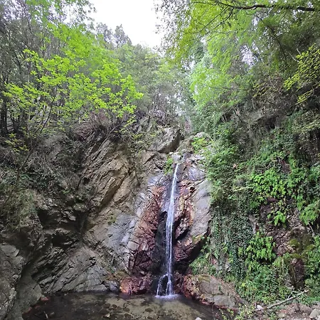 Camping Fico D'india * Ovile la Marina
