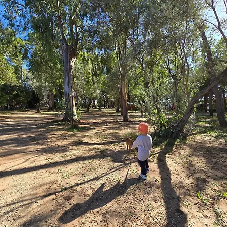 Camping Fico D'india