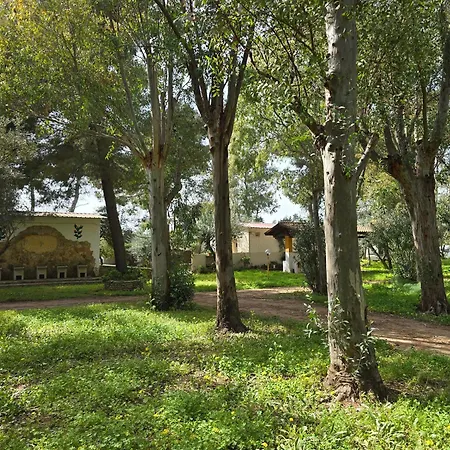 Camping Fico D'india Campsite *