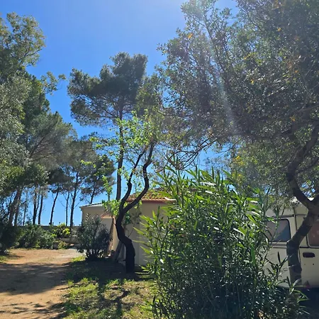 Camping Fico D'india * Ovile la Marina