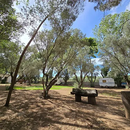 Camping Fico D'india Campsite *