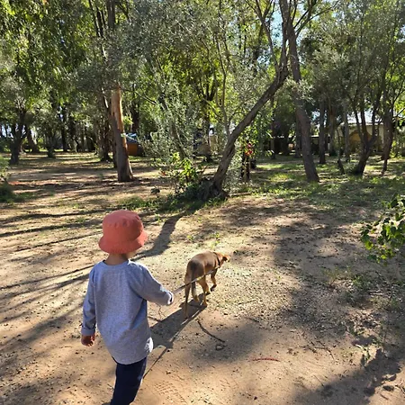 Camping Fico D'india Campsite *