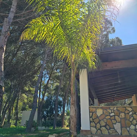 Campsite Camping Fico D'india Ovile la Marina