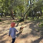 Camping Fico D'india Campsite *