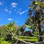 Camping Fico D'india Campsite *