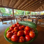 Campsite Camping Fico D'india
