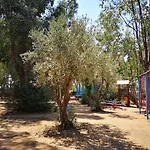 Village Fico D'india Kemp *