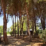 Campsite Camping Fico D'india