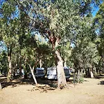 Camping Fico D'india *