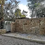 Camping Fico D'india *