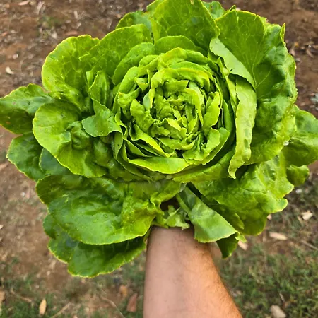 Village Fico D'india Ovile la Marina