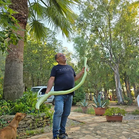 Village Fico D'india Campeggio Ovile la Marina