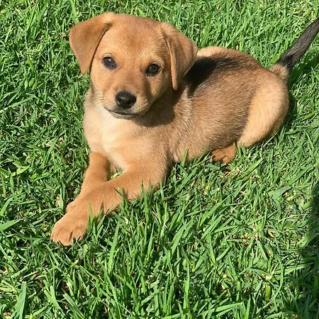 Village Fico D'india Ovile la Marina