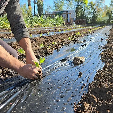 Village Fico D'india * Ovile la Marina