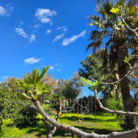 Village Fico D'india Campeggio *