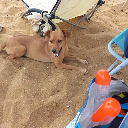 Campeggio Village Fico D'india