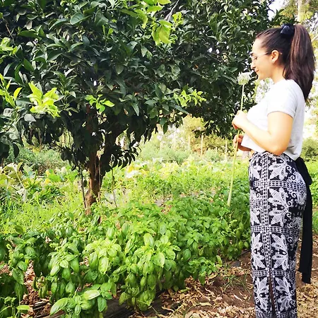 Village Fico D'india Campeggio Ovile la Marina