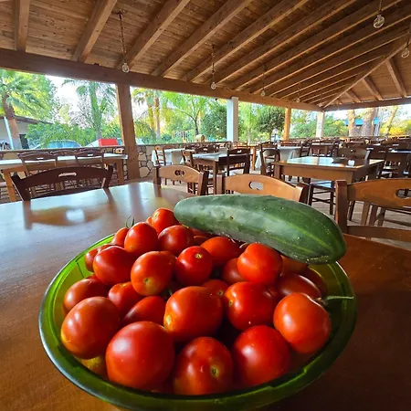 Kemping Village Fico D'india