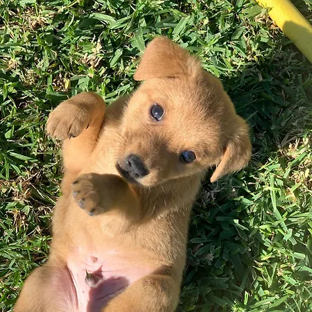 Village Fico D'india * Ovile la Marina