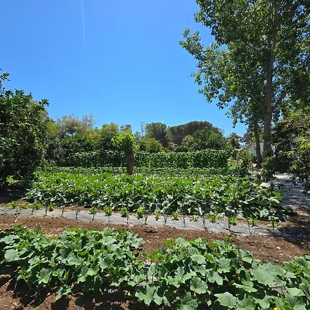 Village Fico D'india Ovile la Marina