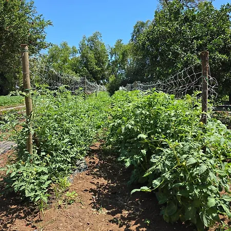 Village Fico D'india * Ovile la Marina
