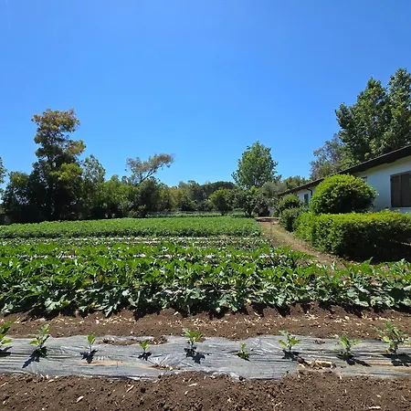 Village Fico D'india Parque de Campismo Ovile la Marina