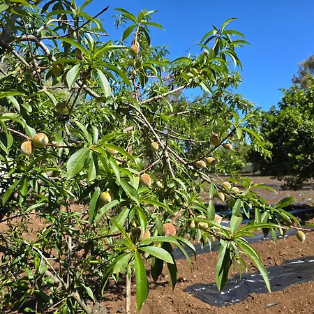 Village Fico D'india Ovile la Marina