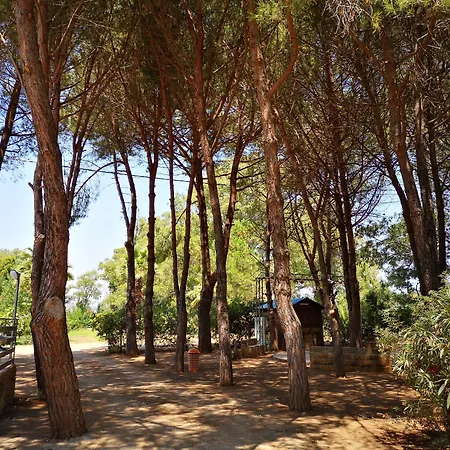 Campingplatz Village Fico D'india