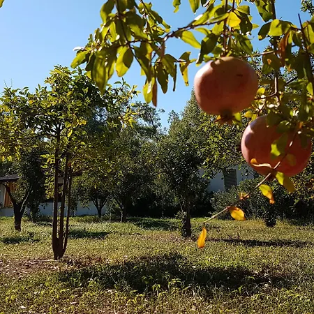 Village Fico D'india *