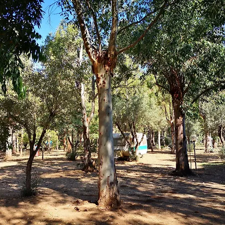 Camping Fico D'india