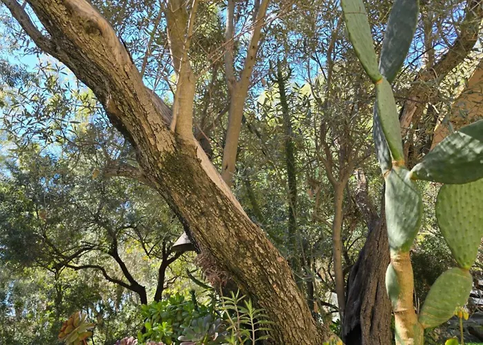 Village Fico D'india אתר קמפינג *