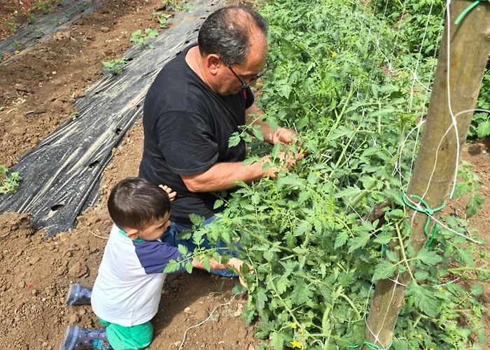 אתר קמפינג Village Fico D'india *