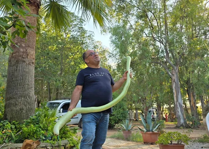 Village Fico D'india אתר קמפינג Ovile la Marina