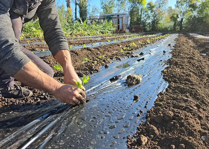 Village Fico D'india * Ovile la Marina