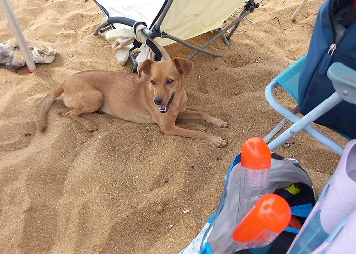 Parque de Campismo Village Fico D'india