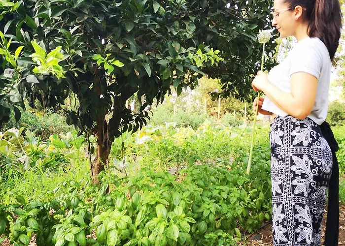 Village Fico D'india Parque de Campismo Ovile la Marina