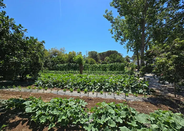 Village Fico D'india Ovile la Marina