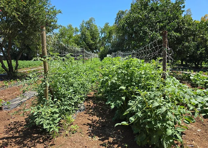 Village Fico D'india * Ovile la Marina