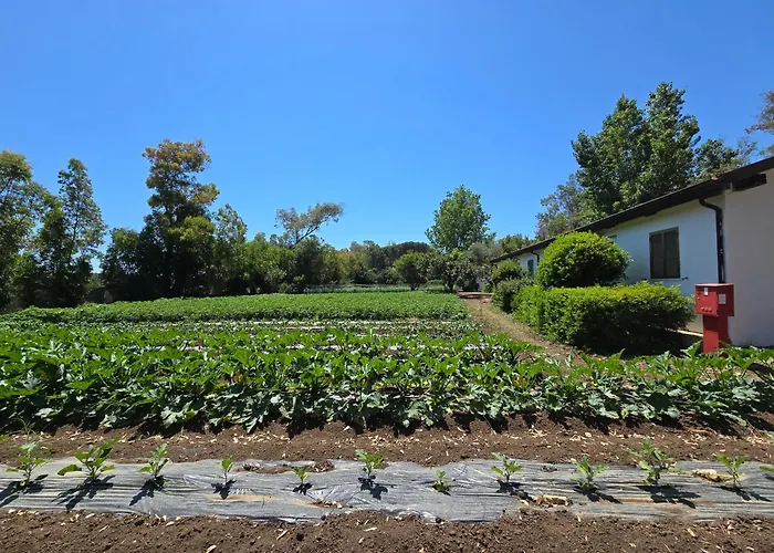 Village Fico D'india אתר קמפינג Ovile la Marina