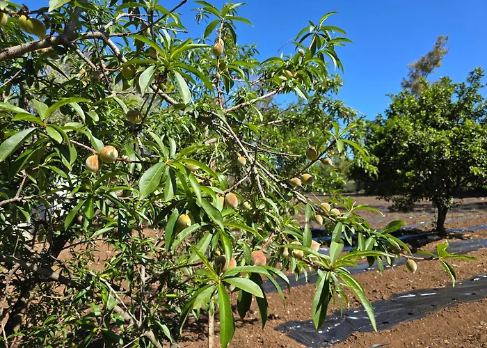 Village Fico D'india Ovile la Marina