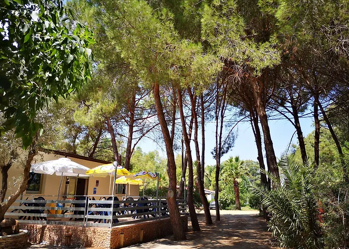 אתר קמפינג Village Fico D'india *