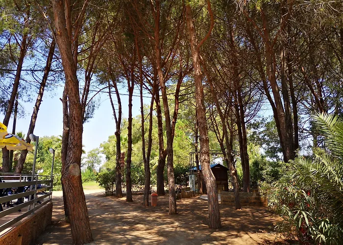 Parque de Campismo Village Fico D'india