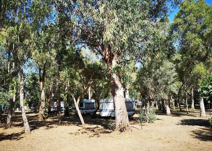 Village Fico D'india *