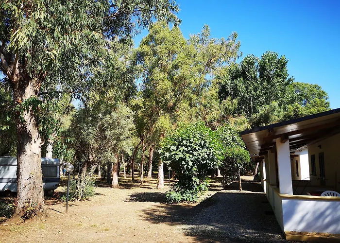 Village Fico D'india אתר קמפינג Ovile la Marina