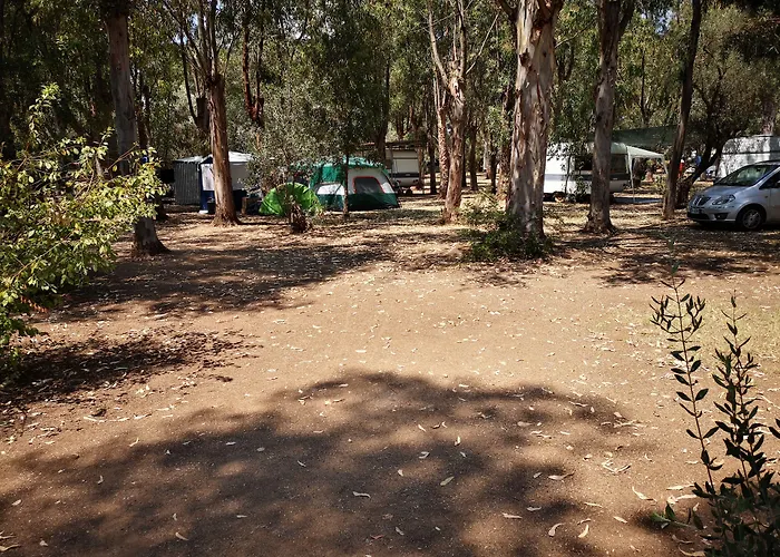 אתר קמפינג Village Fico D'india