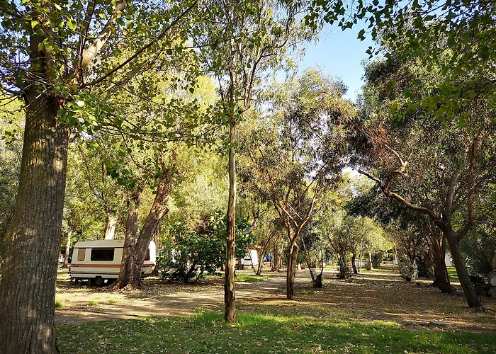 אתר קמפינג Village Fico D'india